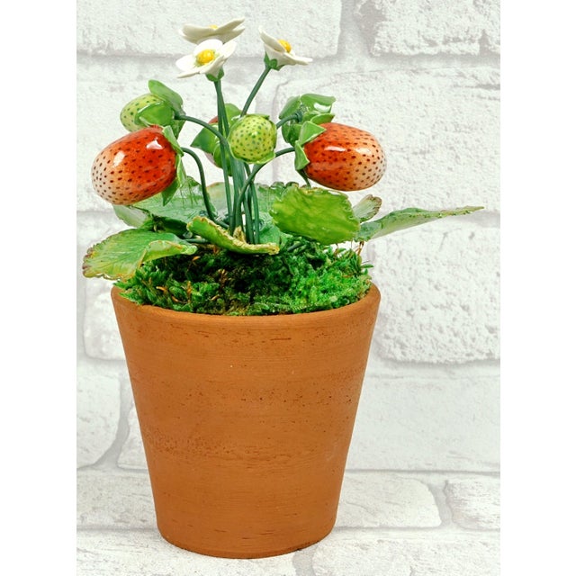 Porcelain Strawberry Plants by Didier Gardillou - Contemporain Period For Sale - Image 6 of 10