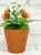 Porcelain Strawberry Plants by Didier Gardillou - Contemporain Period For Sale - Image 6 of 10