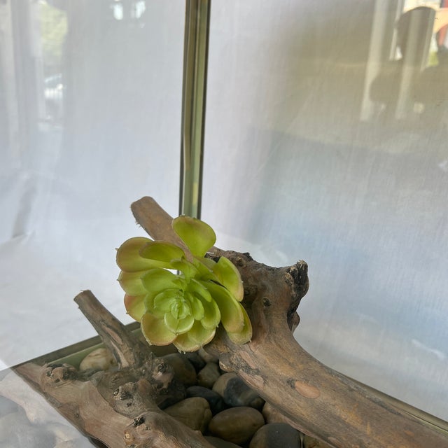 1990s Decorative Metal Terrarium For Sale In Dallas - Image 6 of 12