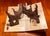 Contemporary “ the Dwindling Party “by Edward Gorey a Classic Tale of a Family Created as an Interactive Journey With Spinners Tabs to Pull Surprises Throughout For Sale - Image 3 of 11