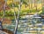 2000 - 2009 "Wally's Pond" Rural Landscape in Oil on Masonite by Richard M. Bacon For Sale - Image 5 of 9