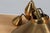 Brass Pendant from Fritz Schlegel, 1960s For Sale - Image 4 of 6