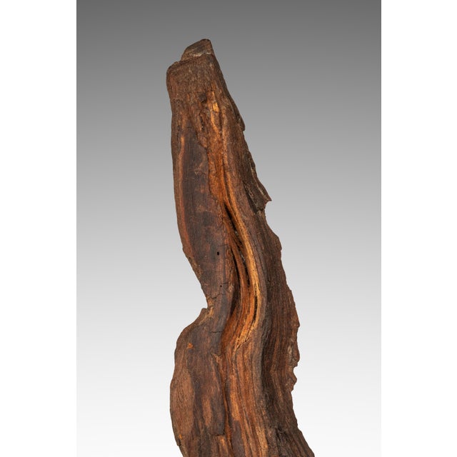 Signed Abstract Rustic Driftwood "Howling Wolf" Sculpture in Solid Beach Driftwood by Emlen Drayton, Usa, C. 2000s For Sale - Image 12 of 15