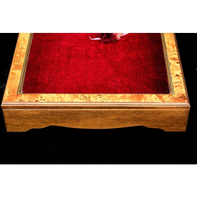 Vintage Tabletop Burl Wood and Glass Keyed Collector’s Display Box For Sale - Image 10 of 18