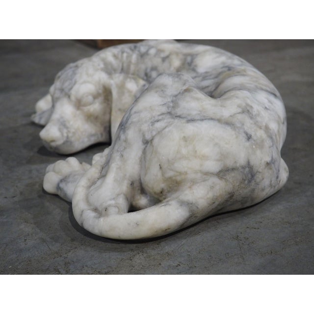 Italian Volterra Alabaster Sleeping Hound Sculpture – Bardiglio Grey, 20th C. For Sale - Image 12 of 14