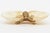 Metal Coastal Shell and Gold Plated Butterfly Bowl or Ring Dish For Sale - Image 7 of 9