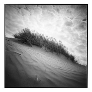 Paul Cooklin, Sand Dune I, North Devon, 2011, Edition 2/10 For Sale
