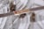 Mid-Century Chandelier in Chrome and Glass by Kamenický Šenov, Czech, 1960s For Sale - Image 6 of 10