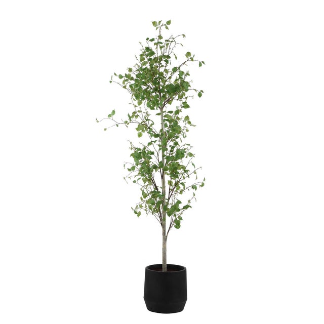 Kenneth Ludwig Chicago Boreal Potted Birch Tree For Sale - Image 4 of 7