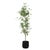 Kenneth Ludwig Chicago Boreal Potted Birch Tree For Sale - Image 4 of 7