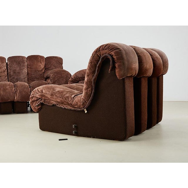 DS-600 Snake Sofa by Ueli Berger for de Sede, Switzerland, 1970s, Set of 22 For Sale - Image 14 of 15