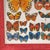 Butterfly Nature Chart, 1980s For Sale - Image 5 of 7