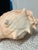 Vintage Ceramic Shell Planter For Sale - Image 4 of 5