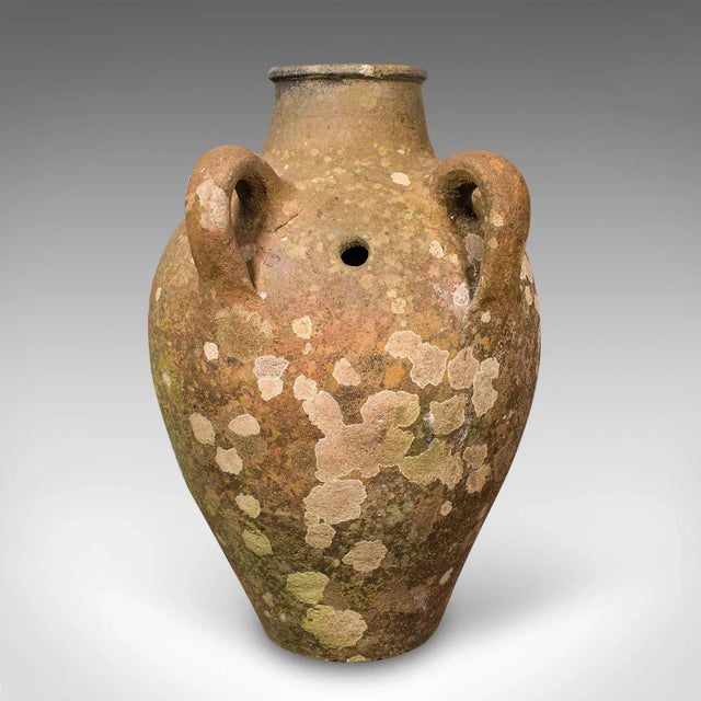 Antique Olive Planter, Italian, Terracotta, Garden Jardiniere, Victorian, c.1900 For Sale - Image 4 of 9