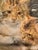Eugène Louis Lambert, Cats, 19th Century, Watercolor and Gouache For Sale - Image 8 of 10