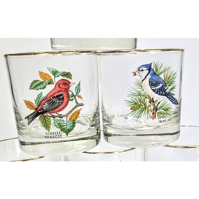 Birdwatchers Songbird Lowball Glasses- Set of Six For Sale - Image 10 of 12