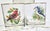 Birdwatchers Songbird Lowball Glasses- Set of Six For Sale - Image 10 of 12