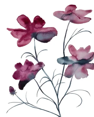"Cosmo No. 9" Contemporary Original Botanical Flowers Watercolor Painting by Elizabeth Becker
