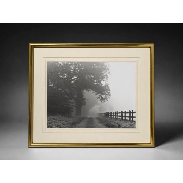 Art Deco Mid 20th Century Misty Country Road Black and White Photograph in Gold Frame For Sale - Image 3 of 5
