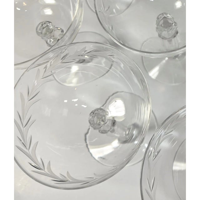 Transparent Handcut Laurel Champagne Coupes- Set of Eight For Sale - Image 8 of 10