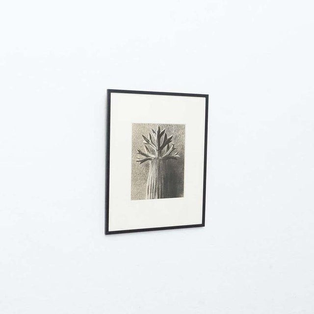 Karl Blossfeldt, Black and White Botanical Image, 1942, Photogravure, Framed For Sale - Image 13 of 18