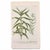 Original c.1730 hand-colored botanical mezzotints by Johann Wilhelm Weinmann, from Phytanthoza Iconographia, one of the...