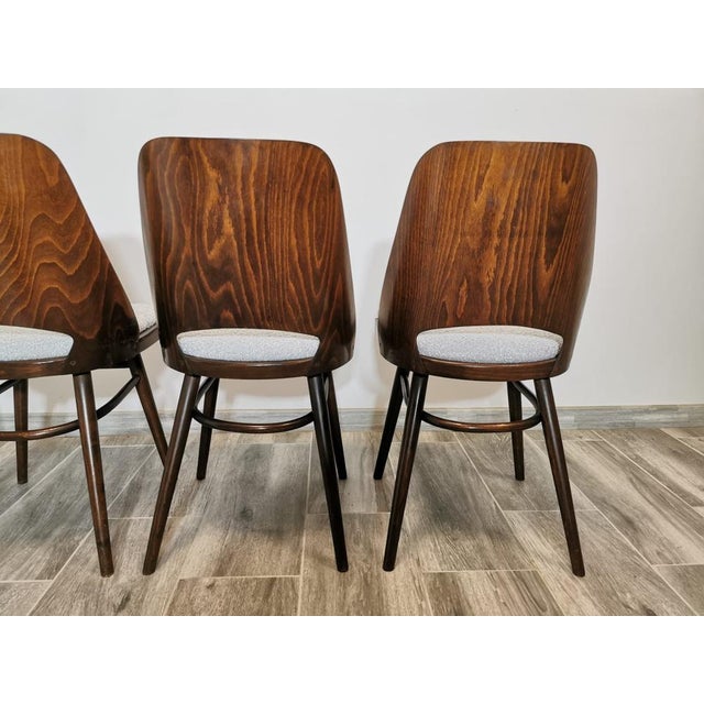 Dining Chairs by Radomir Hoffman for Ton, 1950s, Set of 4 For Sale - Image 13 of 18