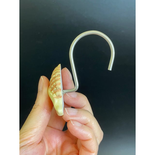 Conch Shell Shower Curtain Hooks - Set of 12 For Sale In Las Vegas - Image 6 of 7