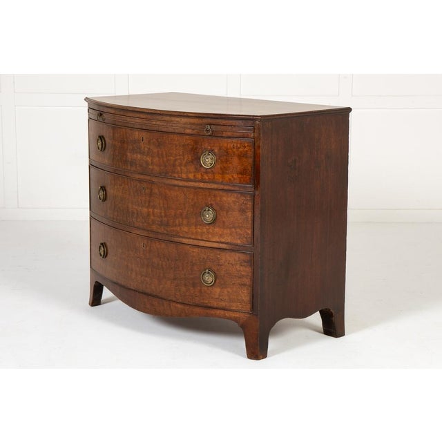 19th Century Regency English Mahogany Bow Fronted Chest of Drawers For Sale - Image 4 of 9