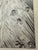 1940s Original Signed Graphite Illustration of Bird Dog, Hunter and Quail in Tall Grass, 13.25 × 10.5 In. For Sale - Image 4 of 6