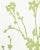 This version of our enchanting Twiggy wallcovering features the delicate botanical silhouette pattern on a textured...