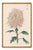 Not Yet Made - Made To Order Whispering Petals Diptych – Vintage Japanese Botanical Prints (Set of 2), 36" X 54" For Sale - Image 5 of 10