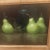 1970s Still Life of Pears Resting on Table For Sale - Image 5 of 5