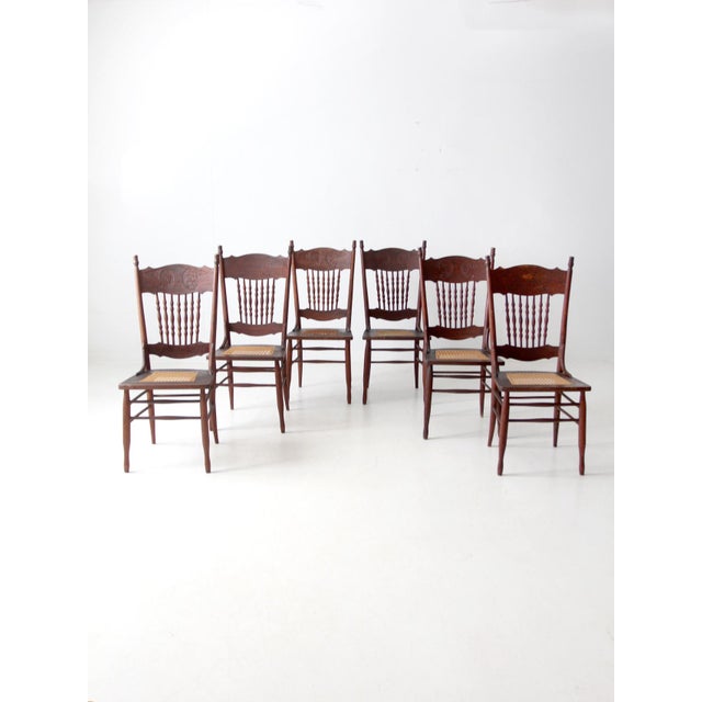 Late 19th Century Antique Press Back Dining Chairs Set of 4 For Sale - Image 5 of 16