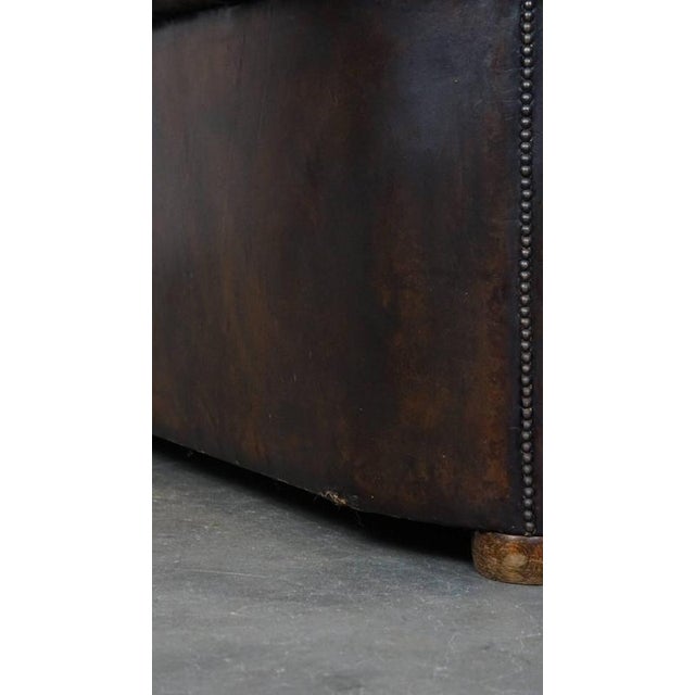 Cowhide 3-Seater Chesterfield Sofa For Sale - Image 16 of 18