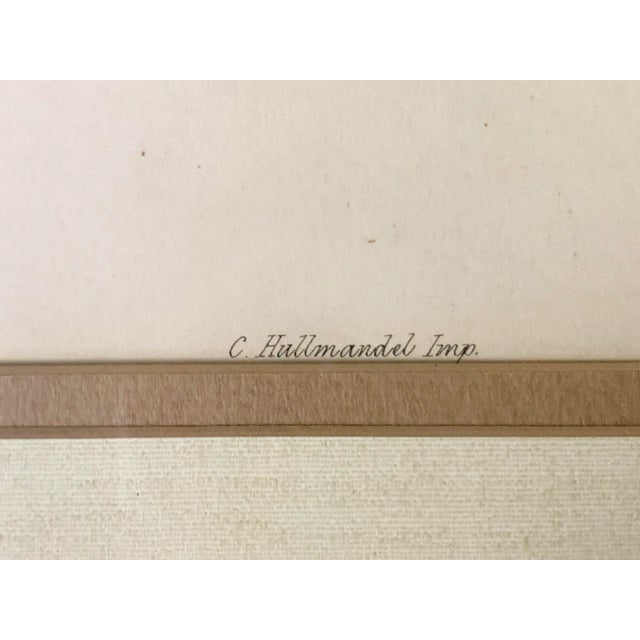 Victorian h.c. Richter Hand Colored Lithograph Artwork For Sale - Image 4 of 7