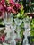 Large Set of 45 Signed Orrefors Sweden Crystal Glass Drinkware Stemware 11 Service Settings Goblet Water Champagne Wine Cordial Barware For Sale - Image 10 of 13