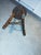 Mid-Century Modern French Tripod Stool in Wood by Charles Dudouyt, 1940s For Sale - Image 6 of 18