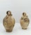 20th Century Italian Peasant Water Flasks, Set of 2 For Sale - Image 11 of 11