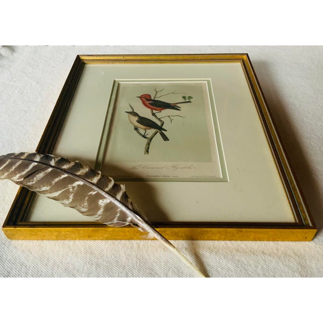 Wood Antique Hand-Colored Litghograph , "The Crowned Flycatcher" C. 1853 For Sale - Image 7 of 18