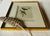 Wood Antique Hand-Colored Litghograph , "The Crowned Flycatcher" C. 1853 For Sale - Image 7 of 18