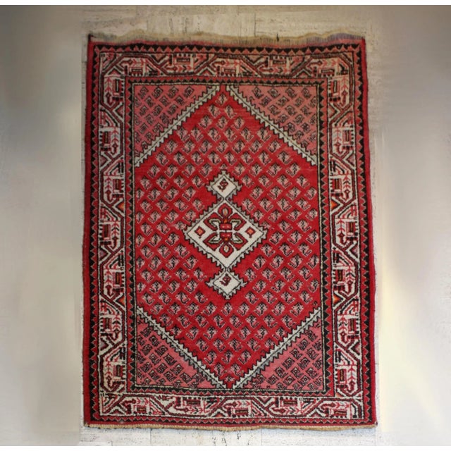 Rugs from Saraband, Middle East For Sale - Image 4 of 9