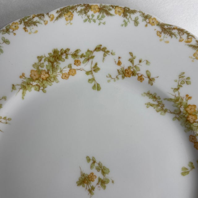 Late 19th Century Haviland Limoges Venetia Porcelain Plates - a Pair For Sale - Image 6 of 6