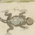 Beige Bertuch, Skink and Grey Lizards, 1805, Print For Sale - Image 8 of 12