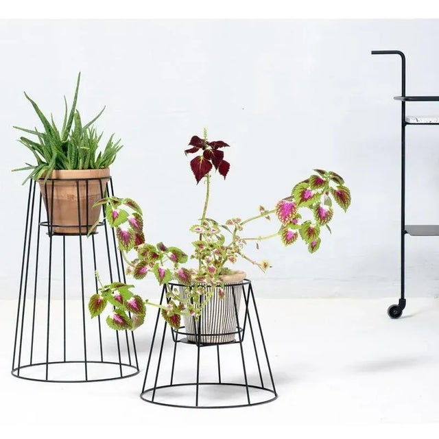 Small Sea Green Cibele Plant Stands by OK Design, Set of 3 For Sale - Image 6 of 7