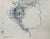 Maryan, Lion Study, Signed Drawing, 1953 For Sale