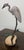 Brian Arthur Heron on a Branch With Lillies Bronze Sculpture For Sale - Image 11 of 12