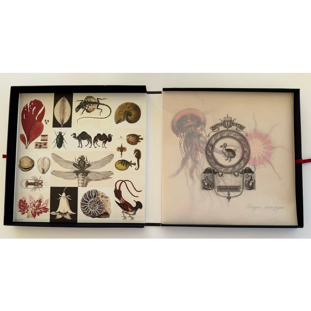 1970s 1970s Natural Curiosities Collector's Album of 14 Artistic Prints For Sale - Image 5 of 17