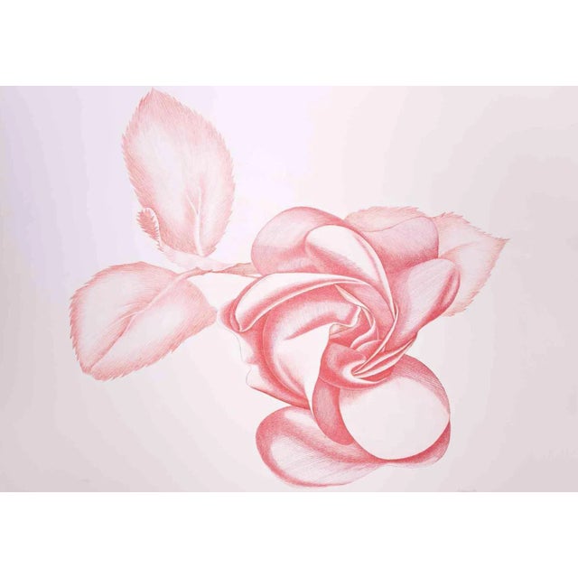 Red Rose is an original contemporary artwork realized by Giacomo Porzano in 1970s. Colored etching Hand-signed on the...