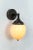 Not Yet Made - Made To Order Ostrich Egg Cast Brass Arm Sconce For Sale - Image 5 of 11